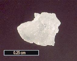 Large Korzhinskite Image