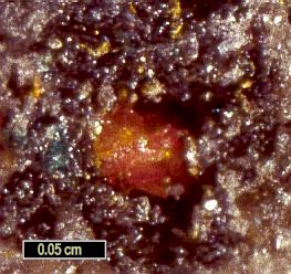 Large Seeligerite Image