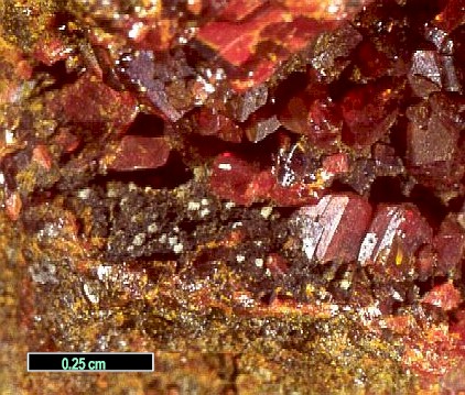 Large Raguinite Image