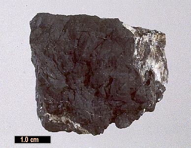 Large Crednerite Image