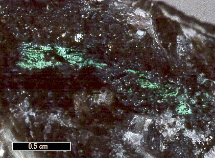 Large Chloroxiphite Image