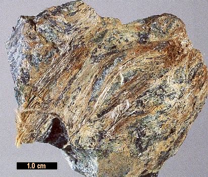 Large Carlosturanite Image