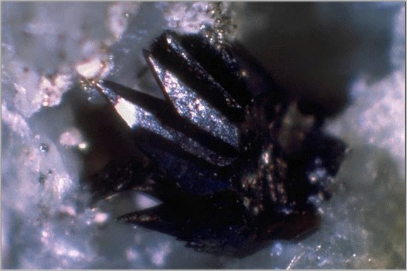 Large Perloffite Image