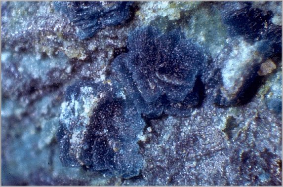 Large Posnjakite Image