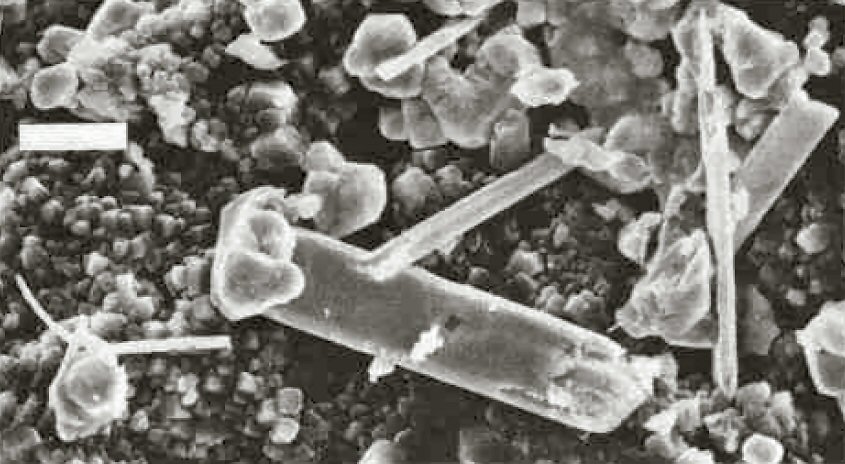 Large Corderoite Image