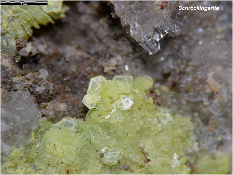 Large Schrockingerite Image