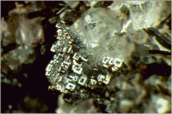 Large Perovskite Image