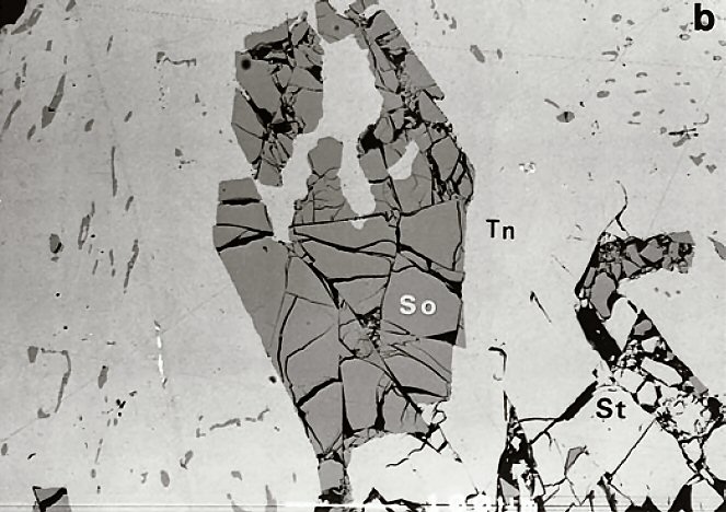 Large Sorosite Image