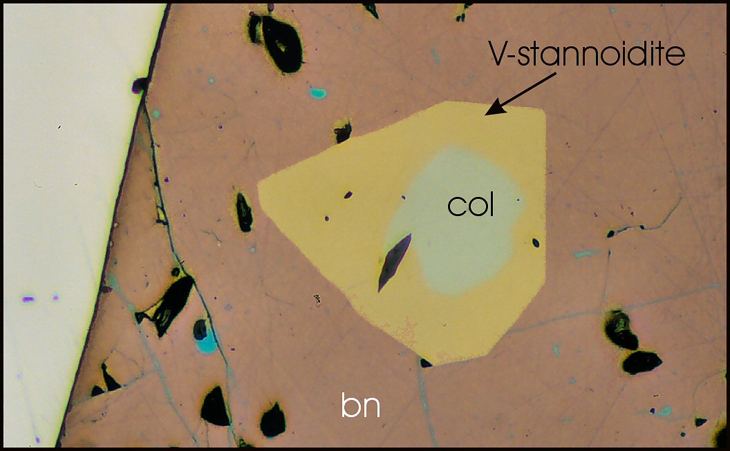 Large Stannoidite Image