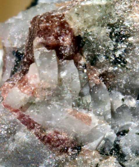 Large Taseqite Image