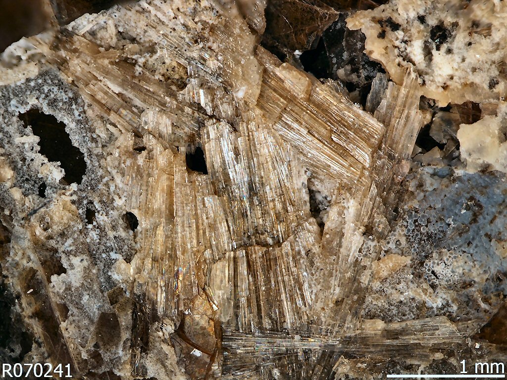 Large Tsepinite-Na Image