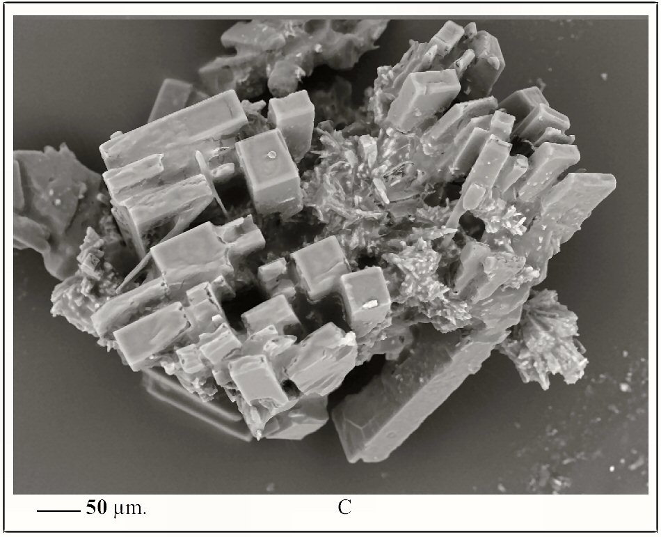 Large Urea Image