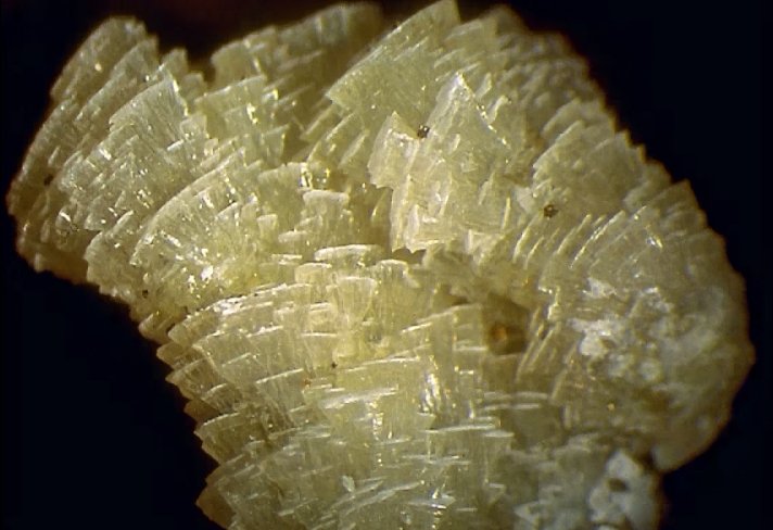 Large Weloganite Image