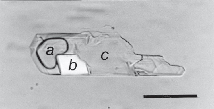 Large Zabuyelite Image