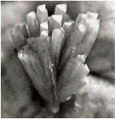 Large Zincolivenite Image