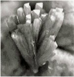 Click Here for Larger Zincolivenite Image